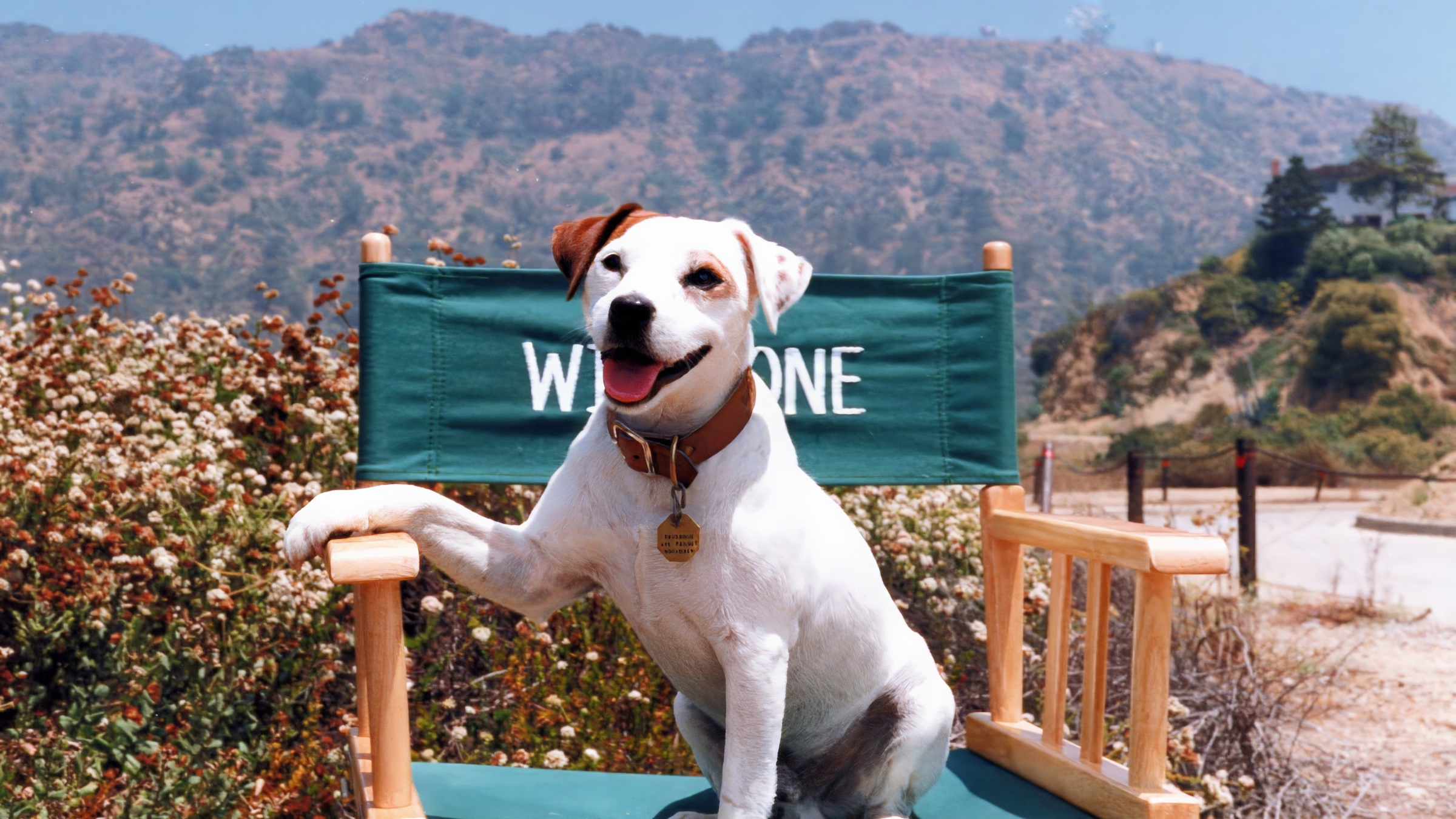 “This Was Something Special:” The Creatives & Voice Behind Wishbone Reflect On The New Documentary And Celebrate 30 Years Of The PBS Classic