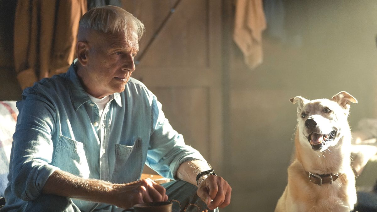 NCIS: Origins season 3 premiere brings back Mark Harmon—and then some